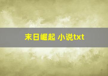 末日崛起 小说txt